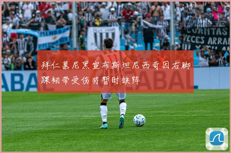 拜仁慕尼黑宣布斯坦尼西奇因右脚踝韧带受伤将暂时缺阵