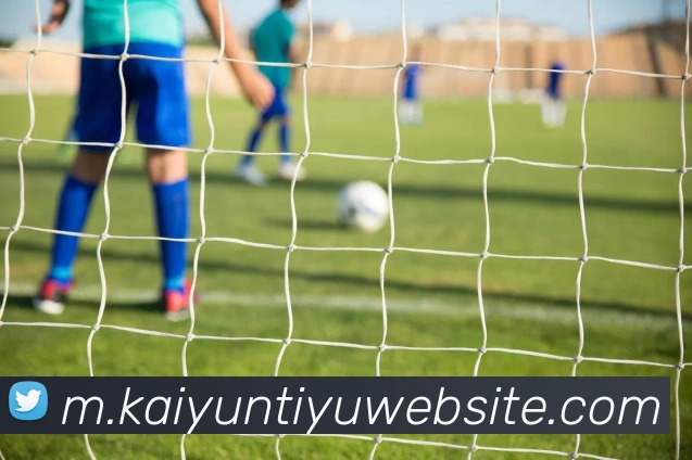 开云体育服务体系